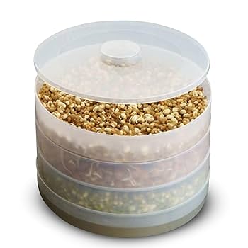 Sprouts maker with 4 compartment